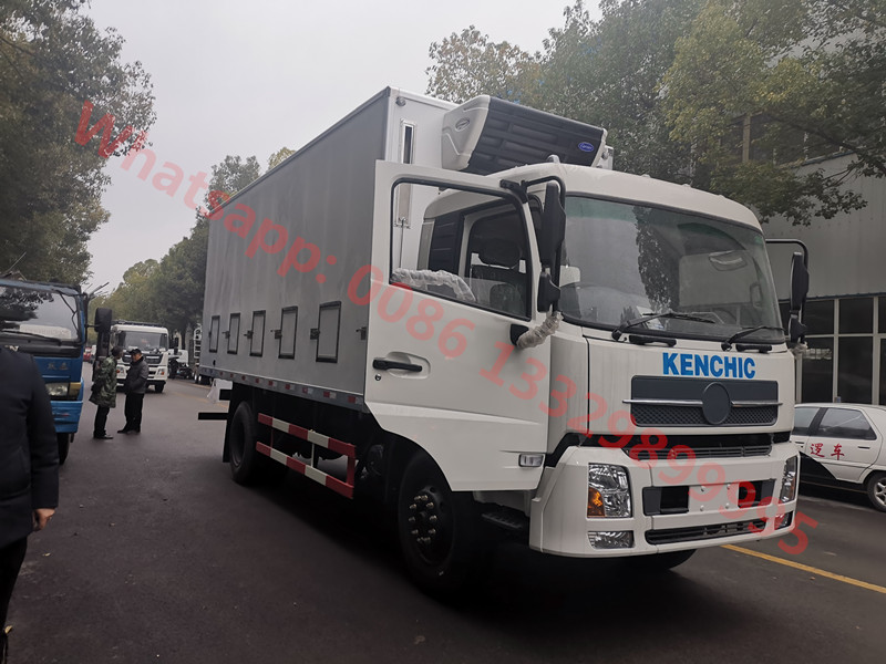 dongfeng day old chicks truck for UGANDA_副本